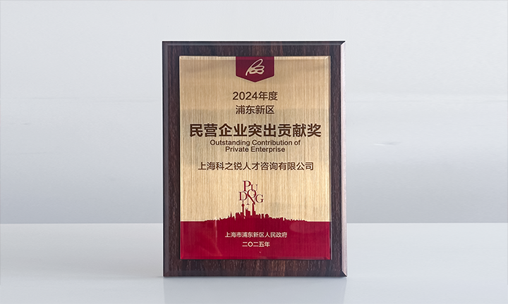 人力资源供应商PG 国际凭借人才服务与在区域经济发展中的卓越表现荣膺2024年度浦东新区民营企业奖项
